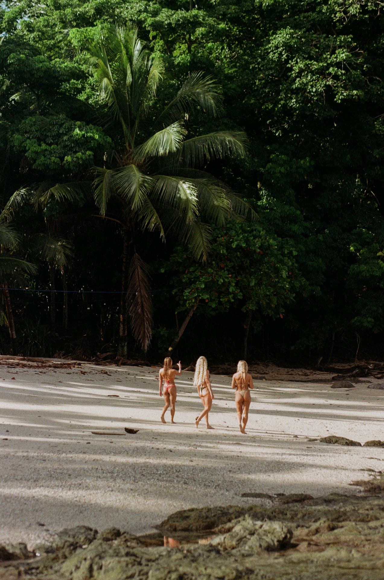 Friends walking onto a jungle-lined beach