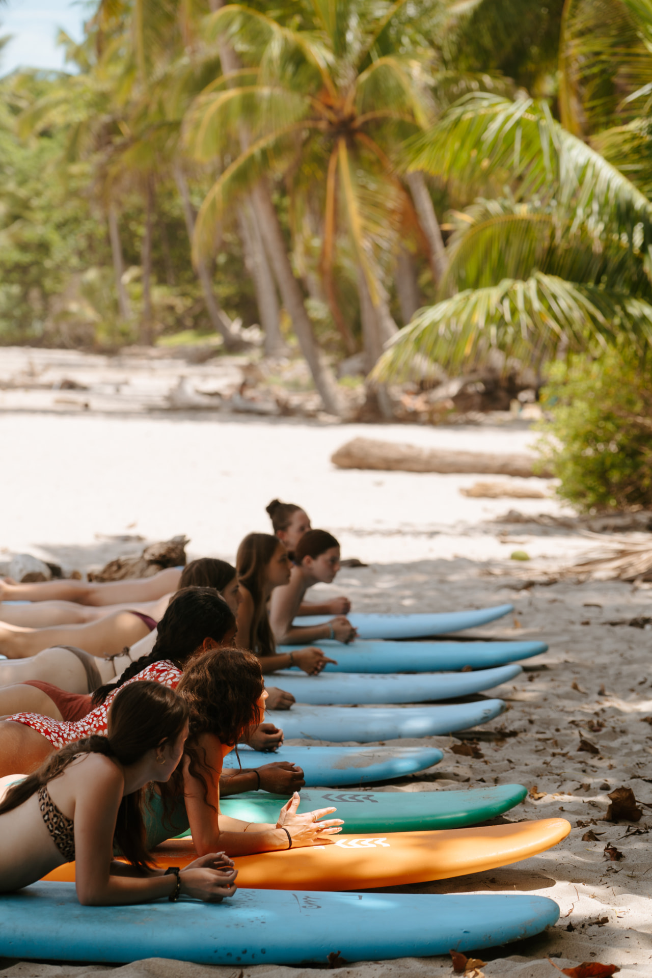 A surf group relaxing with their boards beneath the palms