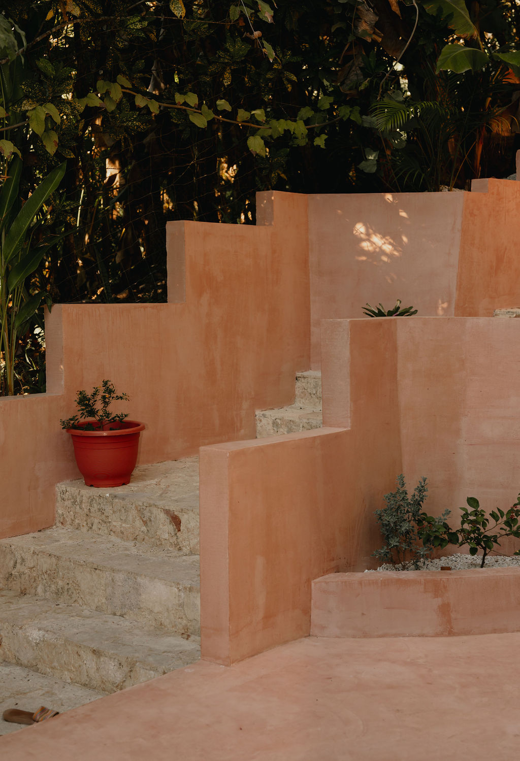 Terracotta steps surrounded by jungle plants