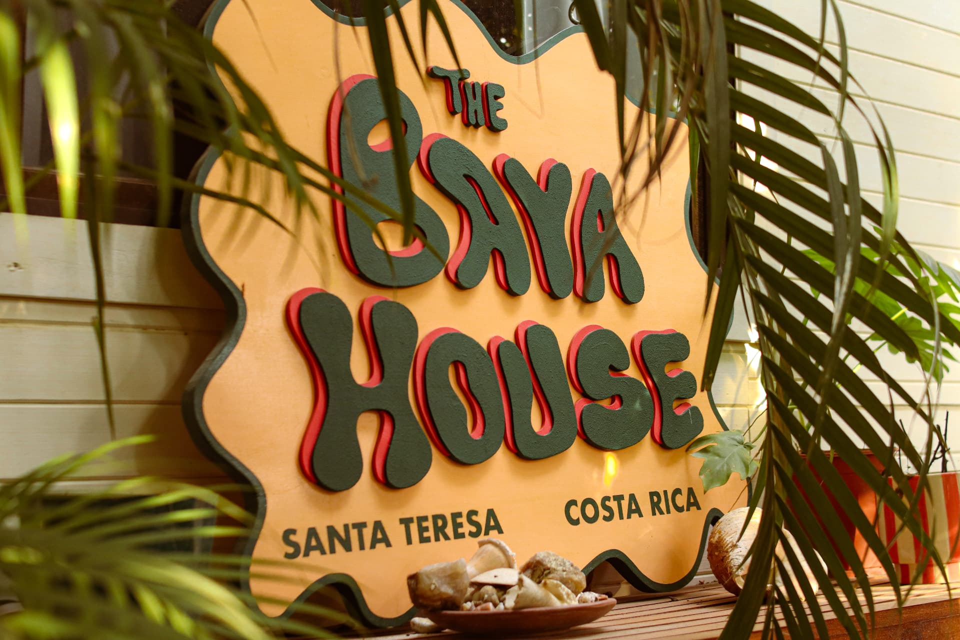 The Baya House sign framed by palm leaves