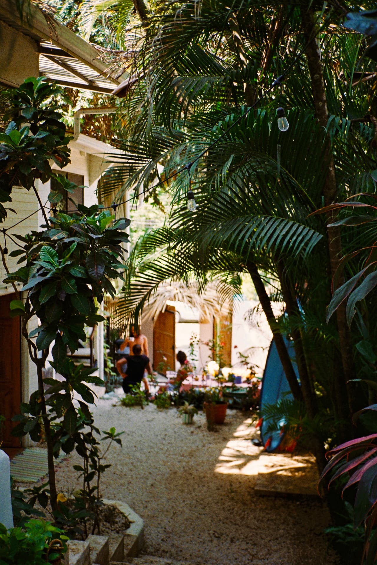 String lights over the sandy garden path at The Baya House