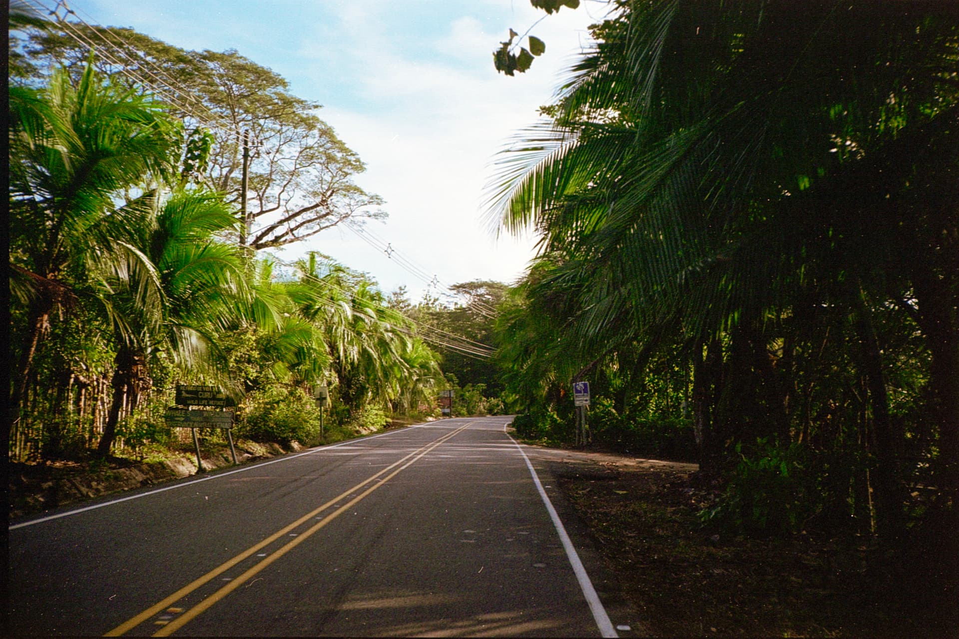 The paved main road through Santa Teresa, lined with palms