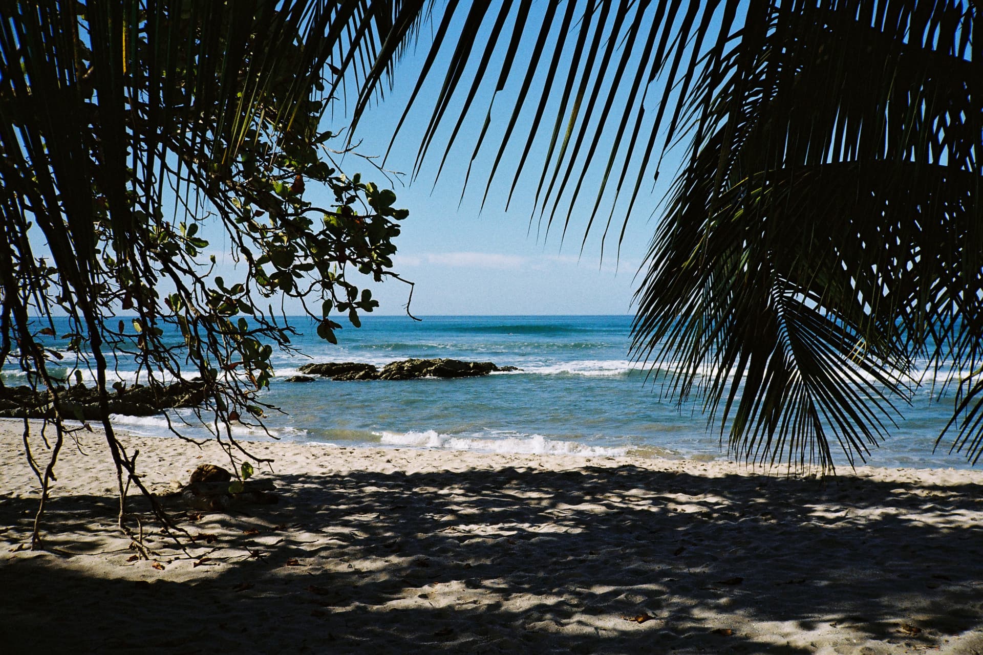 Palm-framed beach and turquoise water near Santa Teresa