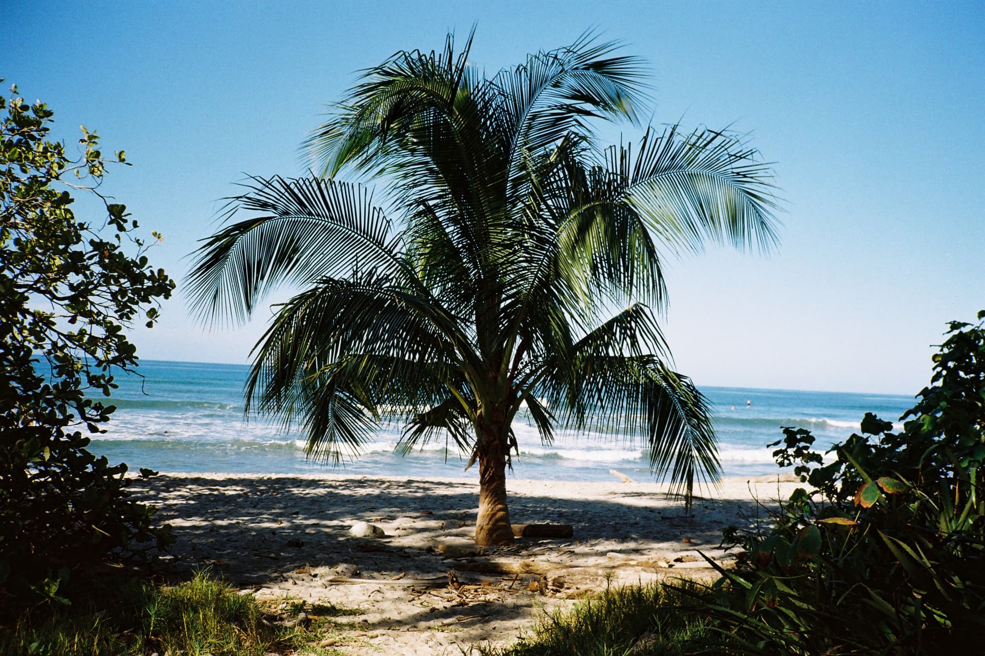 Beaches near us